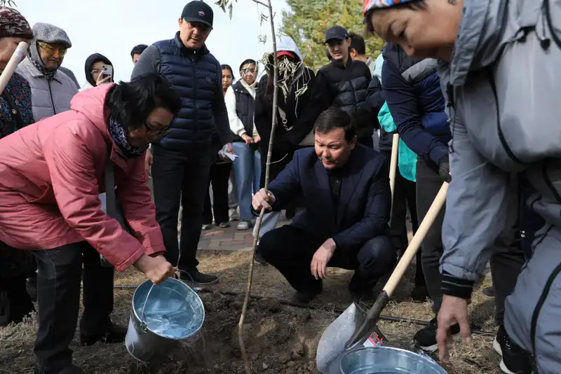 В Актюбинской области высажено около 7300 деревьев в рамках акции «Таза Казахстан» Астане