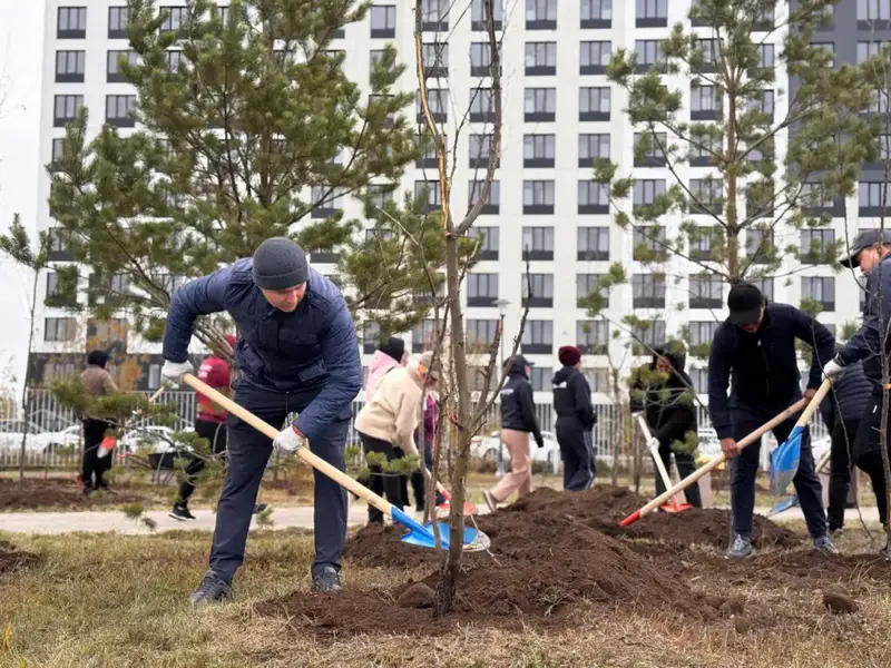 Высадка более 300 деревьев в парке Коктал в рамках экологической акции Таза Қазақстан Астане
