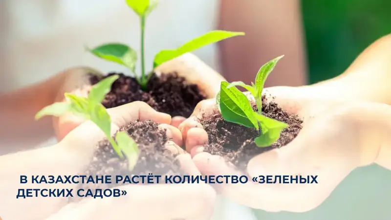 В Казахстане открываются новые «Зеленые детские сады», способствующие экологическому воспитанию детей Астане