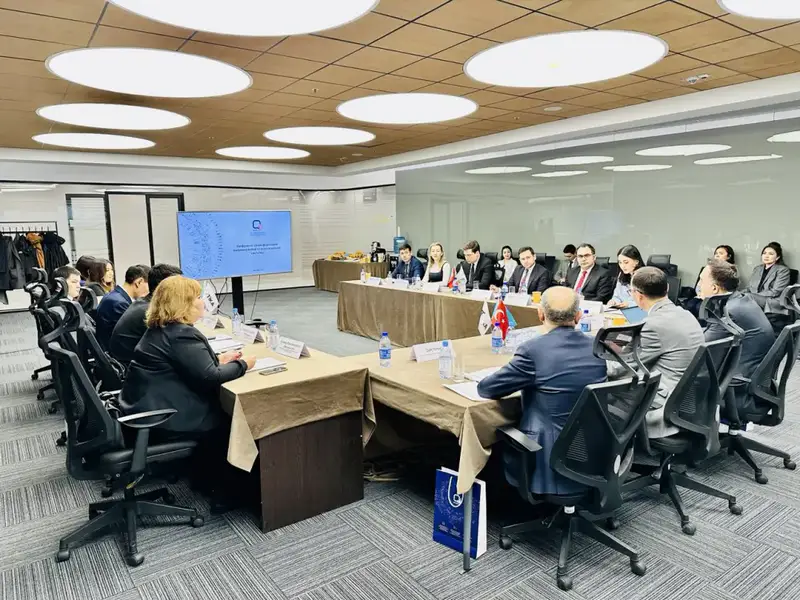 Бюро национальной статистики АСПиР РК укрепляет сотрудничество с Турцией (3)