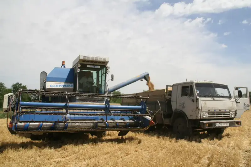 Алматинская область сохраняет рост в агросекторе: рекордные урожаи и инвестиции (10)
