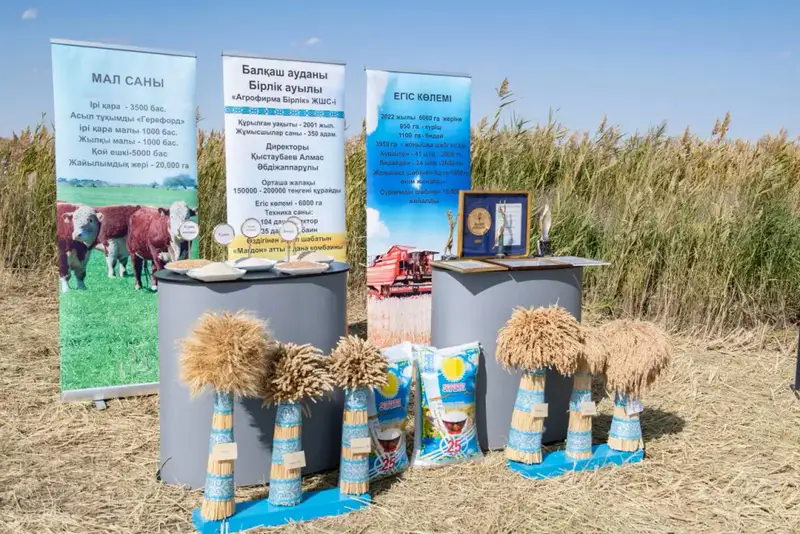 Рост агросектора в Алматинской области Астане