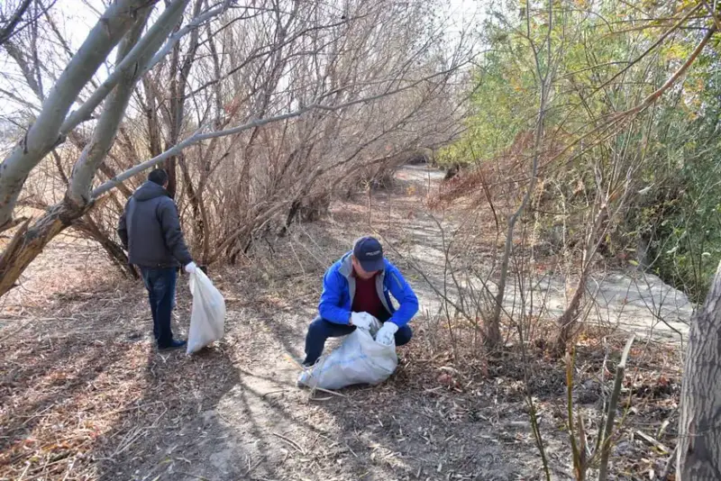 Атырау: 15 тонн мусора и 4 тысячи деревьев! Астане