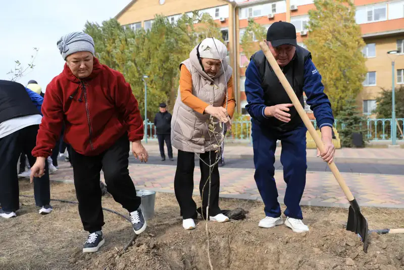 В рамках акции «Таза Казахстан» в Актюбинской области было высажено около 7300 саженцев (2)