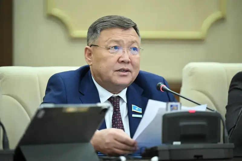 Мажилис утвердил республиканский бюджет на 2026-2028 годы (10)