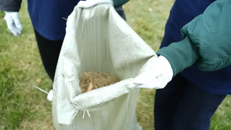 Общереспубликанская акция «Таза Қазақстан» объединила более 600 тысяч человек (5)