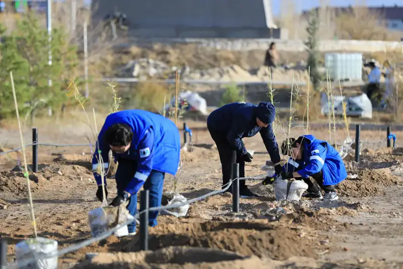 В Актобе впервые высадили реликтовое дерево турангу, приспособленное к засушливому климату (5)