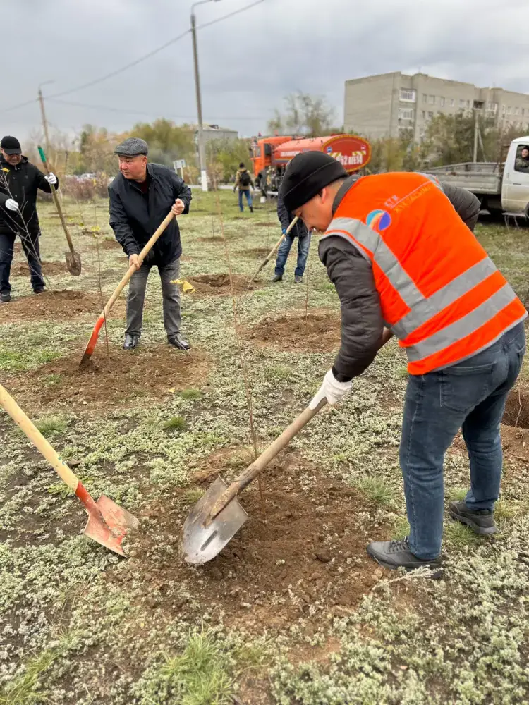 Экологическая акция прошла в Экибастузе (4)