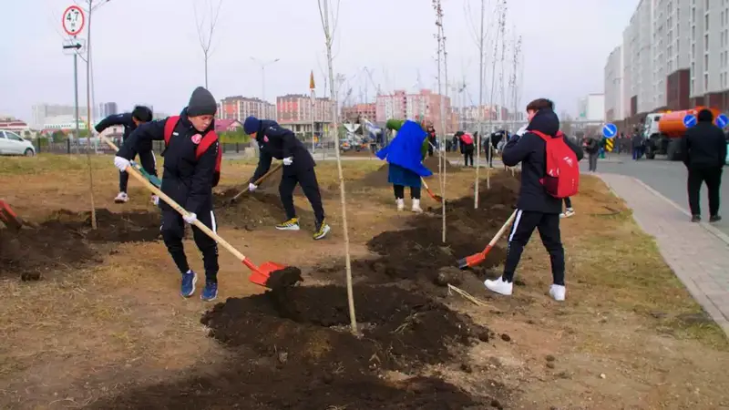 В столичном районе Сарайшык высажено 500 деревьев (8)