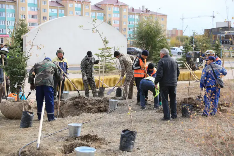 В рамках акции «Таза Казахстан» в Актюбинской области было высажено около 7300 саженцев (3)