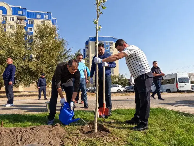 АКИМ ШЫМКЕНТА ПРИНЯЛ УЧАСТИЕ В ПОСАДКЕ ДЕРЕВЬЕВ ВМЕСТЕ С ЖИТЕЛЯМИ (4)