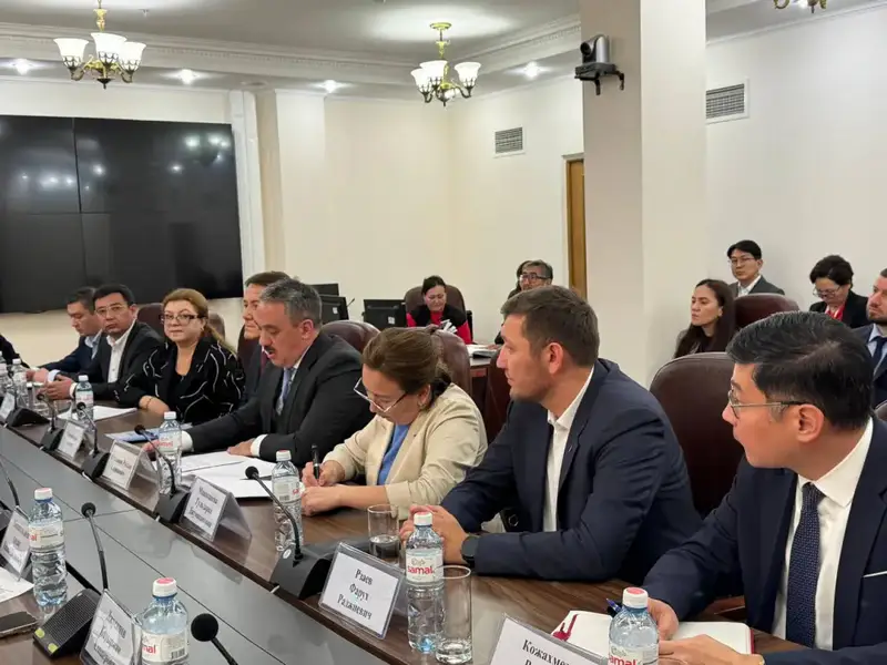 Встреча в Минздраве: казахстанские производители фармпродукции обсуждают налоги и инвестиции Астане