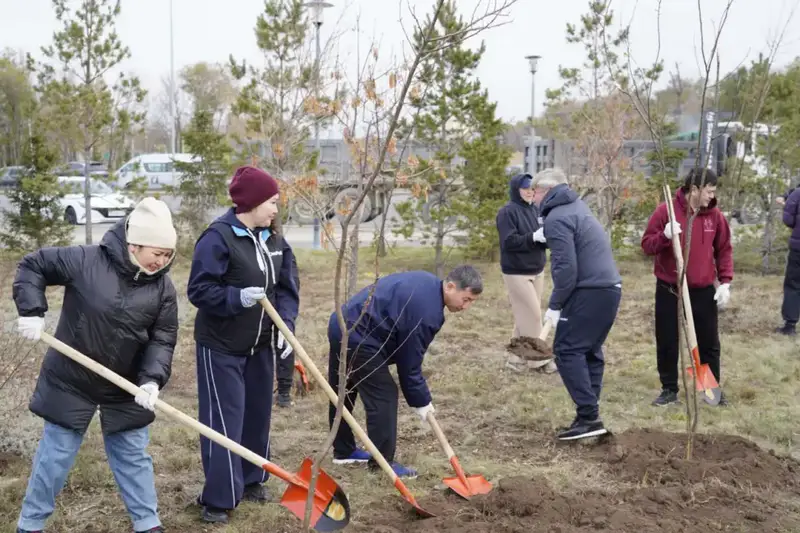 Более 300 деревьев высадили в столичном парке "Коктал" (2)