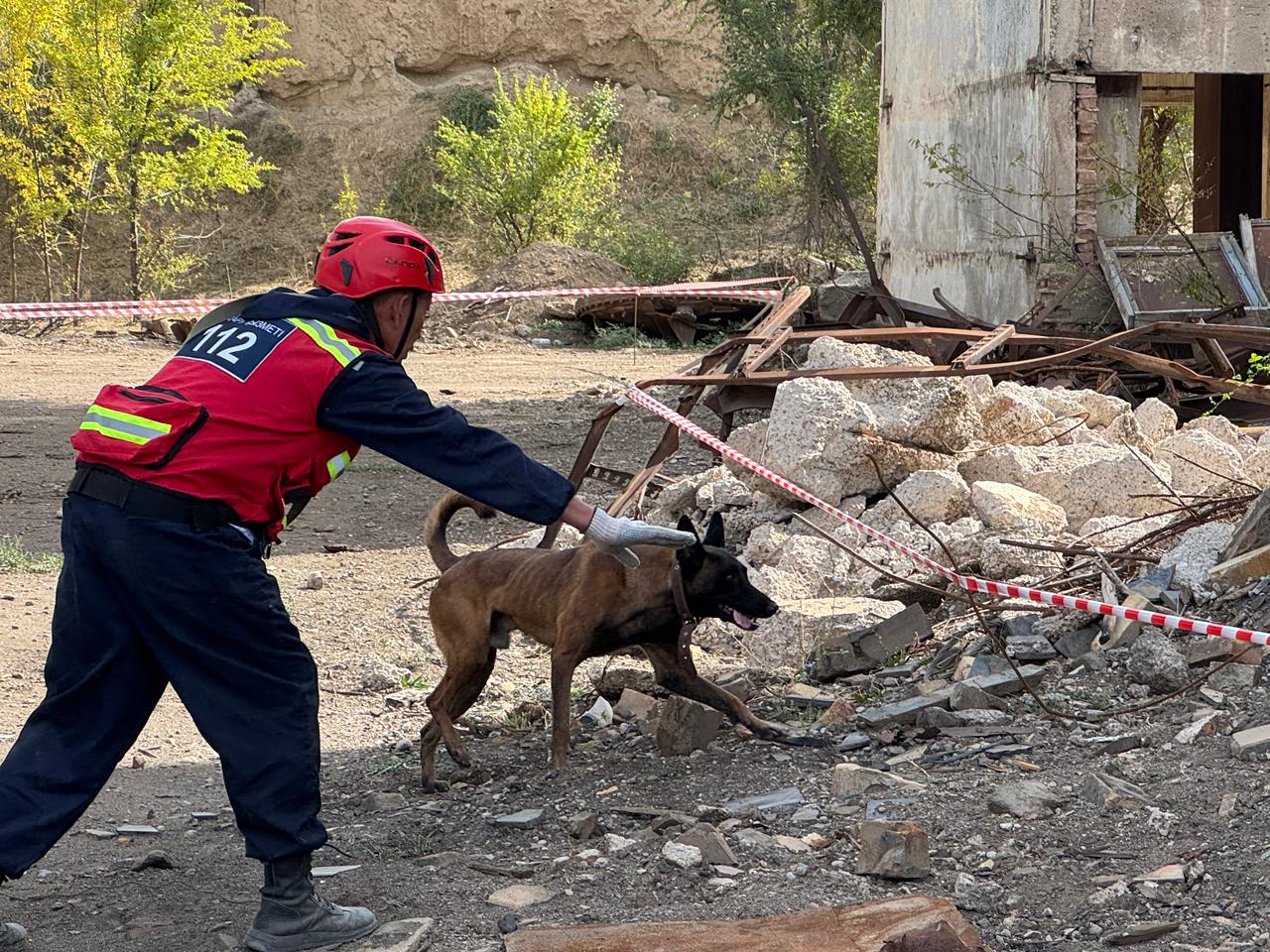 Оценка готовности кинологических расчётов: собаки-спасатели МЧС прошли аттестацию (5)