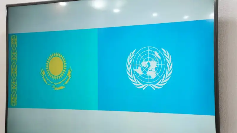 Встреча между представителями Министерства экологии и природных ресурсов и ЮНИДО (3)