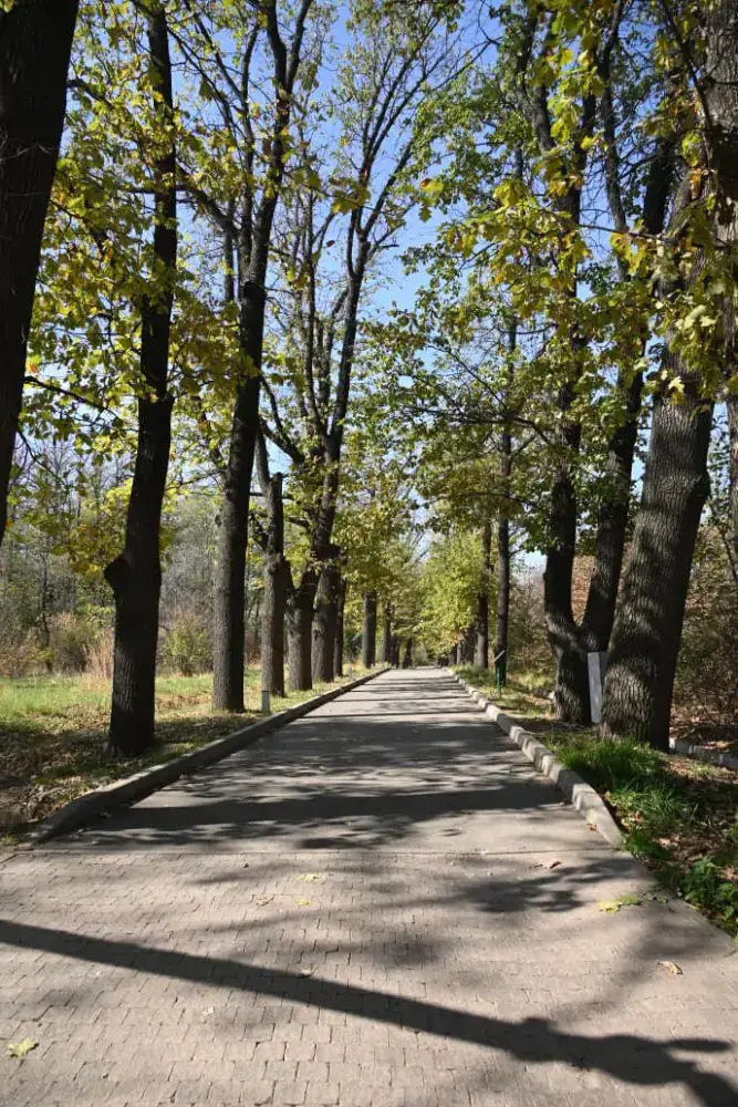 Дархан Сатыбалды провел выездной осмотр благоустройства природных зон Алматы (4)