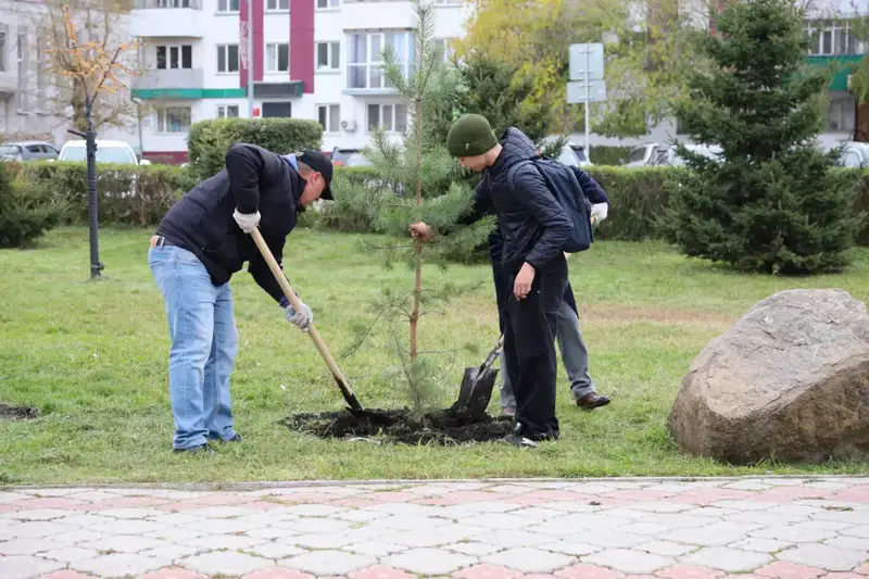 В области прошла масштабная экоакция: высажено более 10 000 деревьев в рамках программы «Таза Қазақстан» Астане