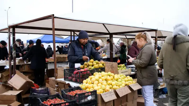 Более 460 тонн продукции представили аграрии Акмолинской области на заключительной ярмарке в Астане (9)