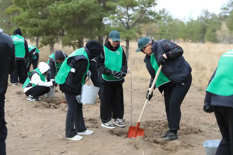 В Актау области под руководством губернатора высажено 1350 деревьев в рамках экологической инициативы Астане