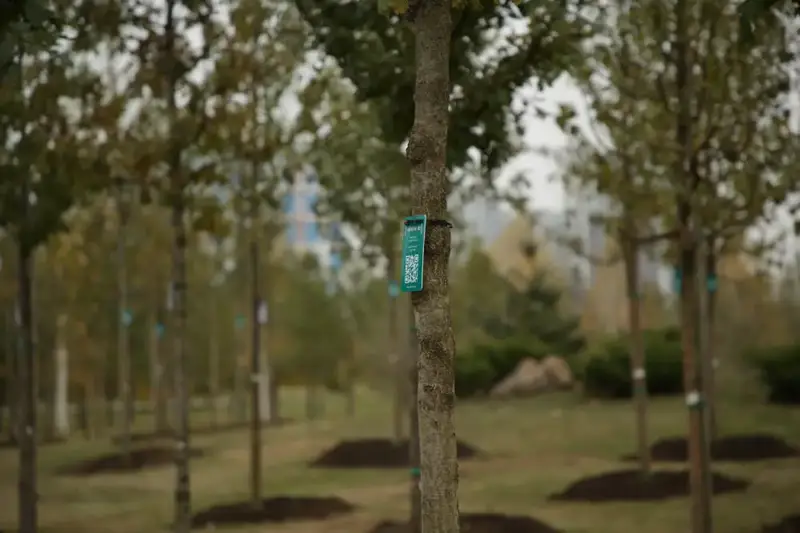 Более 150 тысяч жителей вышли на общегородской субботник в Астане (5)