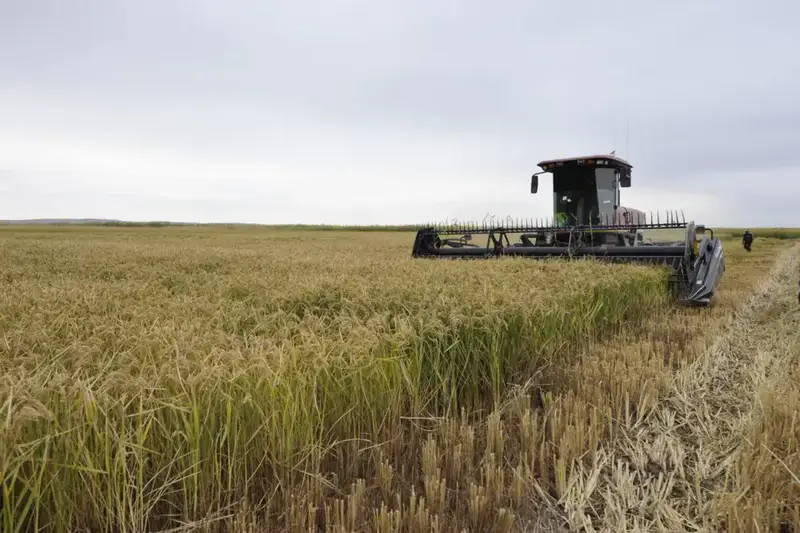 Алматинская область сохраняет рост в агросекторе: рекордные урожаи и инвестиции (9)