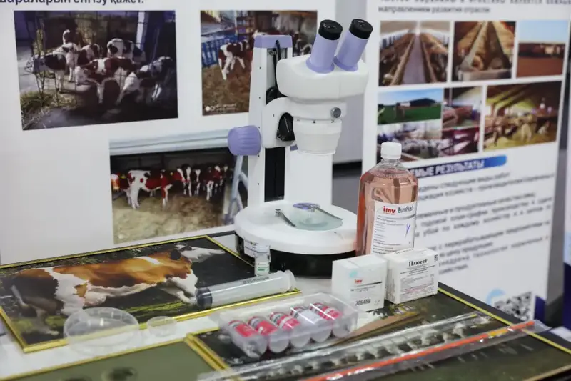 Аким Павлодарской области Асаин Байханов поздравил Торайгыров университет с 65-летием (4)