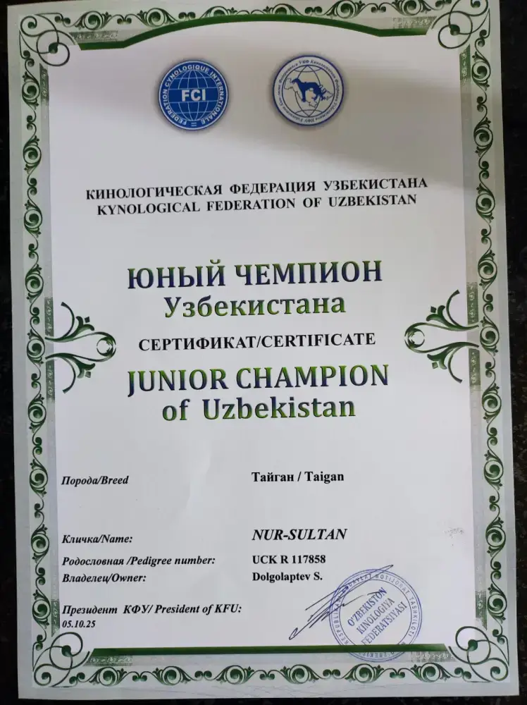 Тайган из Осакаровского района признан лучшим представителем породы в Казахстане (10)