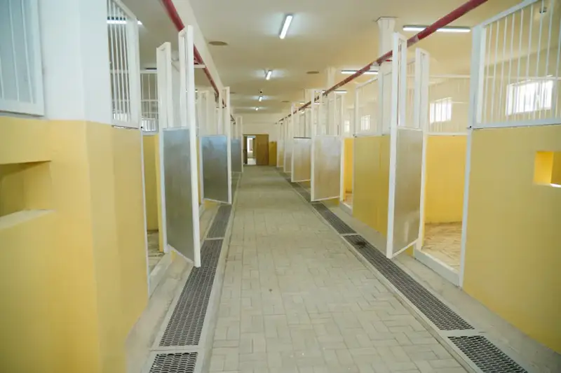 В ЭТОМ ГОДУ В ТУРКЕСТАНЕ ВВЕДУТ В ЭКСПЛУАТАЦИЮ ИППОДРОМ, СООТВЕТСТВУЮЩИЙ МЕЖДУНАРОДНЫМ ТРЕБОВАНИЯМ (2)