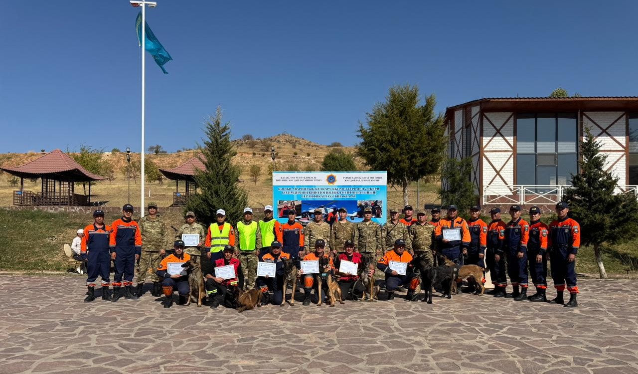 Оценка готовности кинологических расчётов: собаки-спасатели МЧС прошли аттестацию (10)