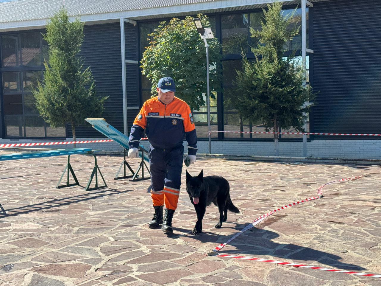 Оценка готовности кинологических расчётов: собаки-спасатели МЧС прошли аттестацию (4)