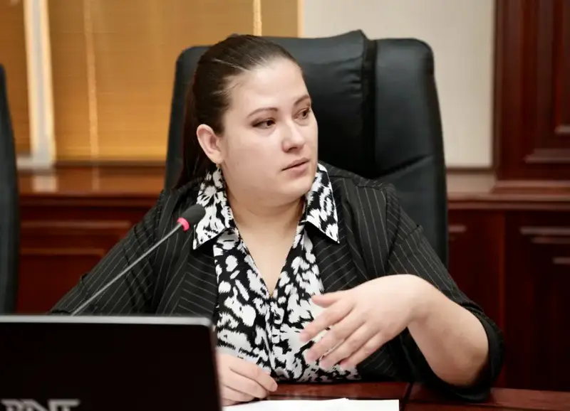 Нефтегазовая симфония: Минэнерго РК задает новые ноты профессиональным стандартам Астане