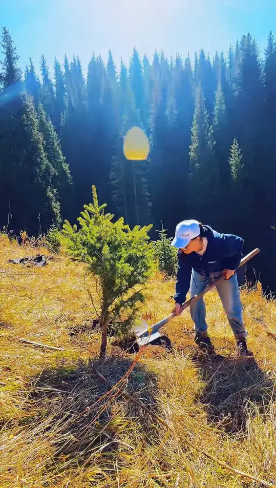 Посадка деревьев в природных парках региона Астане