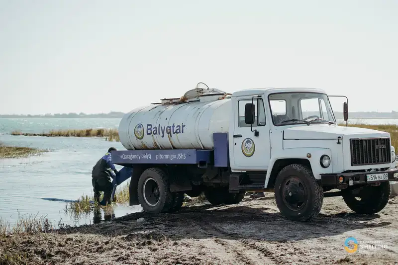 В озеро Балхаш выпустили 125 тысяч сеголеток сазана (6)