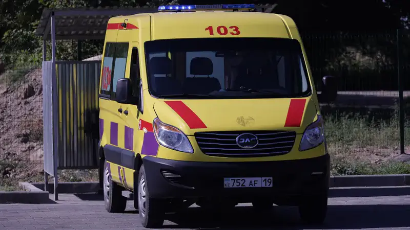 В преддверии Дня республики в области Жетісу открылись восемь новых медицинских объектов (6)