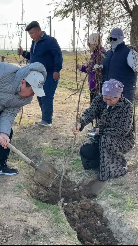 В селе Бодене в рамках акции «Таза Қазақстан» высажено более тысячи саженцев (7)