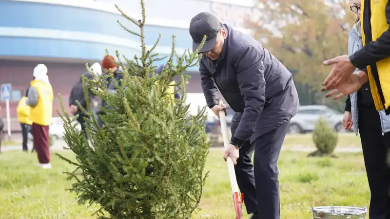 На востоке страны в очередной раз высадили саженцы в рамках акции «Таза Қазақстан» (7)