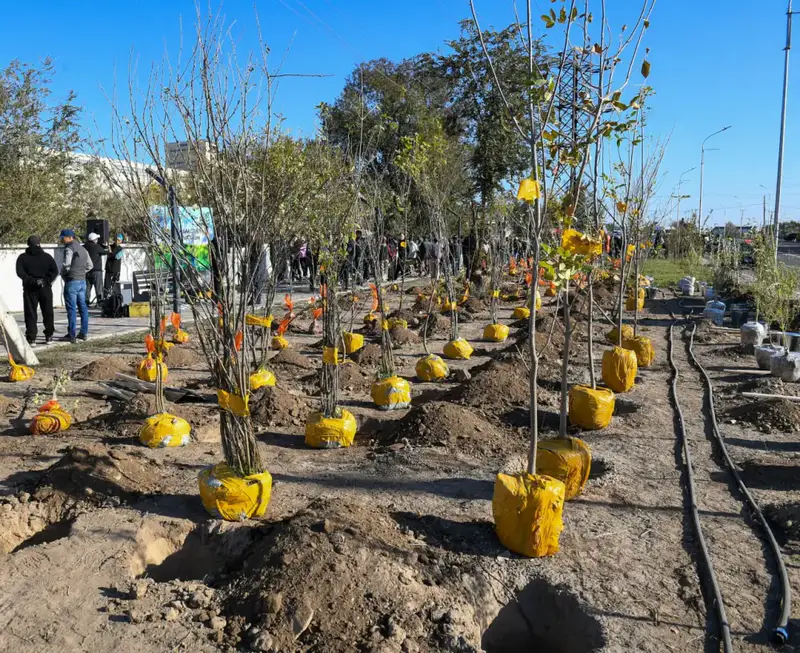 Алматинская область: 67 тысяч за зелёное будущее! Астане