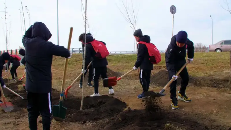 В столичном районе Сарайшык высажено 500 деревьев (7)