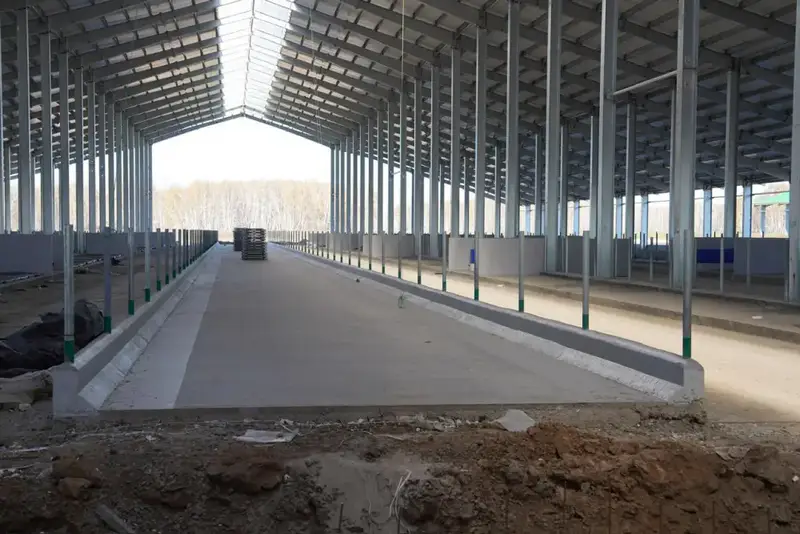 Строительство молочно-товарной фермы на 8000 голов в Северо-Казахстанской области: новые горизонты для агропромышленного сектора Астане