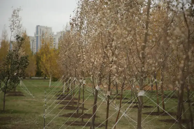 Более 150 тысяч жителей вышли на общегородской субботник в Астане (3)