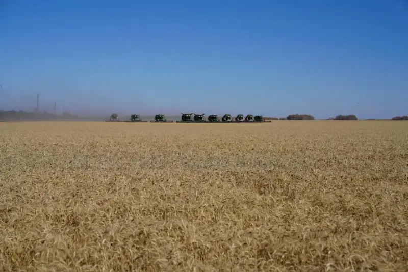 Уборочная кампания: Стабильность на полях СКО! Астане