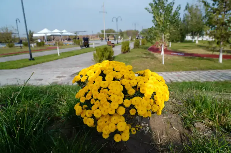 В ТУРКЕСТАНЕ ПРОШЛА КАПИТАЛЬНАЯ РЕКОНСТРУКЦИЯ ПАРКА «ПАРАСАТ» (4)