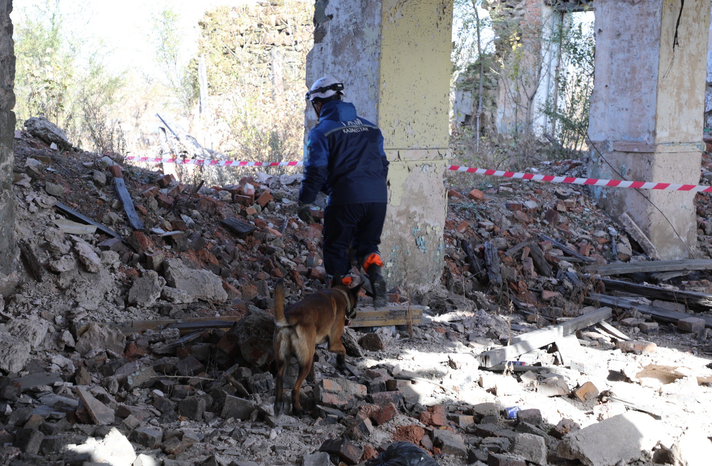 Оценка готовности кинологических расчётов: собаки-спасатели МЧС прошли аттестацию (9)