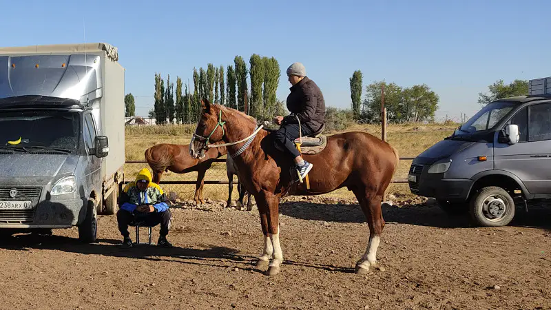 Чем аул отличается от города: сравнение сельской и городской жизни на юге Казахстана Астане