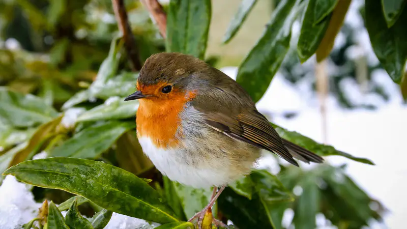 Казахстан под небесным зонтом: Циклон и антициклон рисуют контрастные картины погоды на 16-18 октября Астане