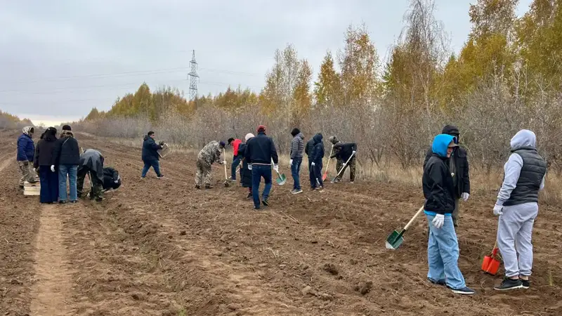 Общереспубликанская акция «Таза Қазақстан» объединила более 600 тысяч человек (9)
