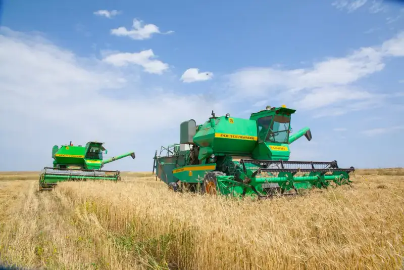 Завершение уборочной кампании в Казахстане: 26,9 млн тонн зерна и высокая урожайность овощей Астане