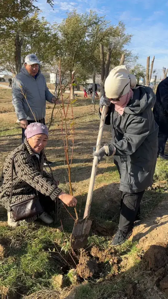 В селе Бодене посеяны зелёные надежды: более тысячи деревьев для чистоты родного края Астане