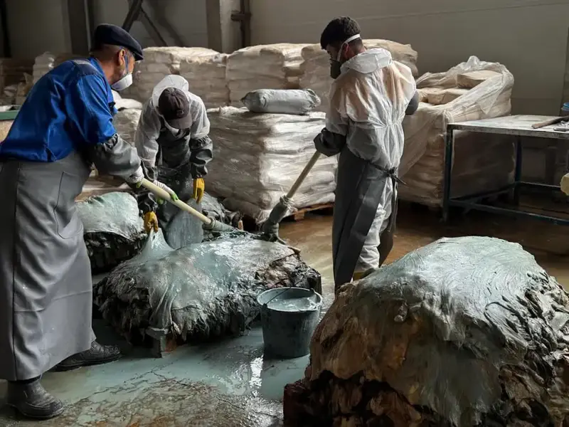 В Западно-Казахстанской области будут перерабатывать более 800 тысяч шкур в год (6)