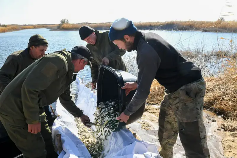 В дельте реки Или проведено зарыбление Шагырайской озёрной системы (3)